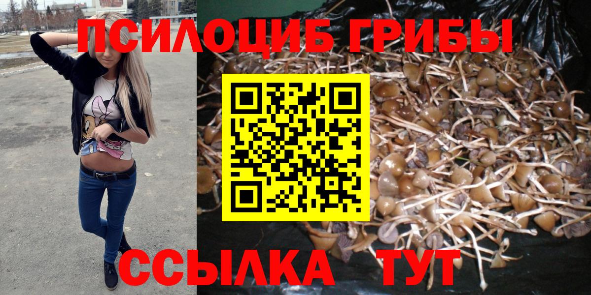 Галлюциногенные грибы прущие грибы Северобайкальск