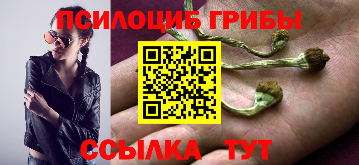 Галлюциногенные грибы мухоморы  Вход с VPN  Северобайкальск  Галлюциногенные грибы Cubensis 